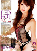 Red Hot Fetish Collection Vol 25