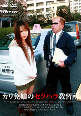 Driving Sex School