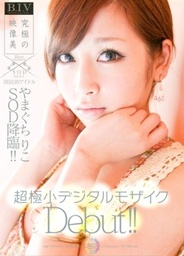 SOD Debut!xxx asian, japanese porn}