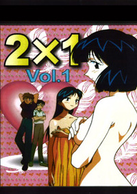 2x1 1