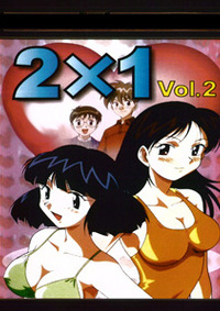 2x1 2