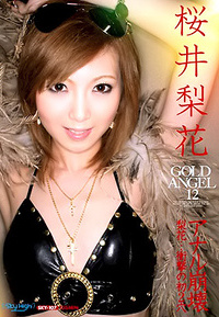 Gold Angel Vol 12